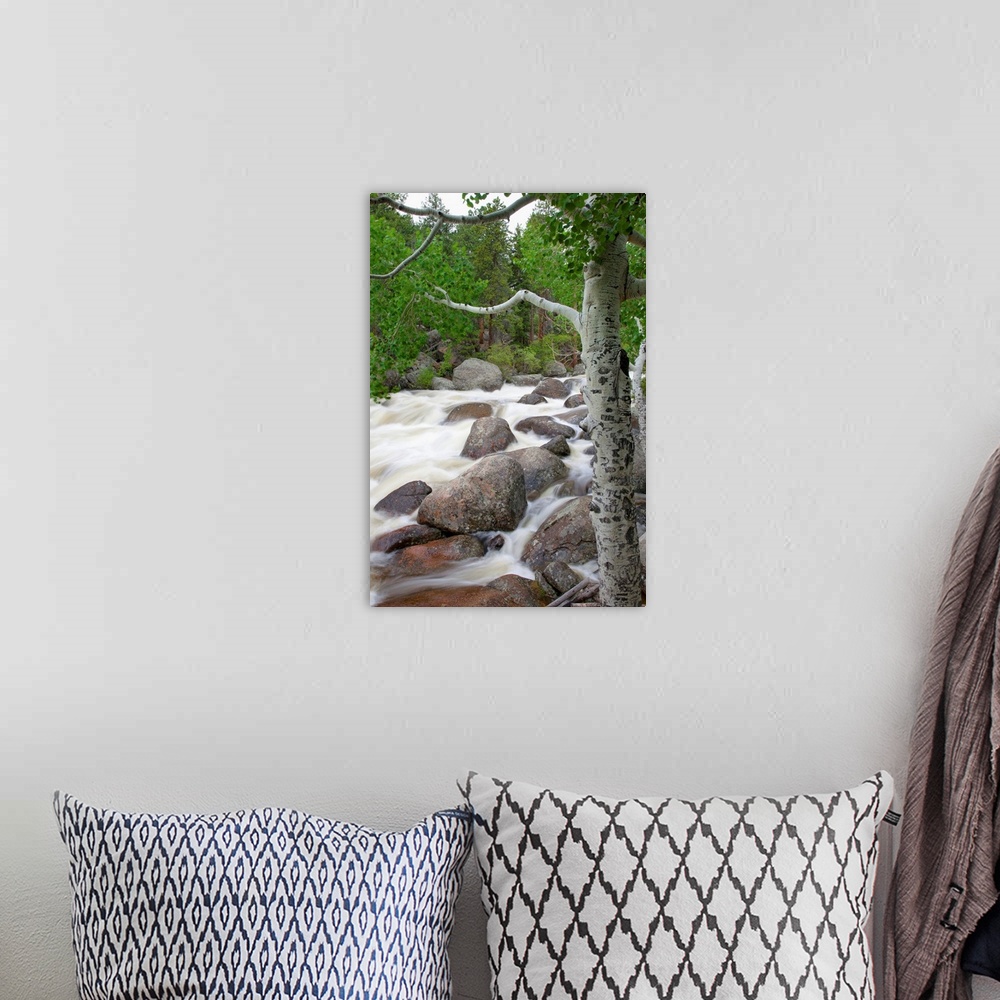 A bohemian room featuring Colorado, Rocky Mountains, A Raging River With Lush Foliage