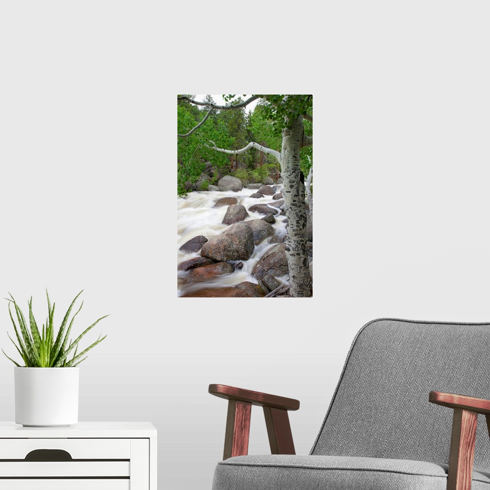 A modern room featuring Colorado, Rocky Mountains, A Raging River With Lush Foliage
