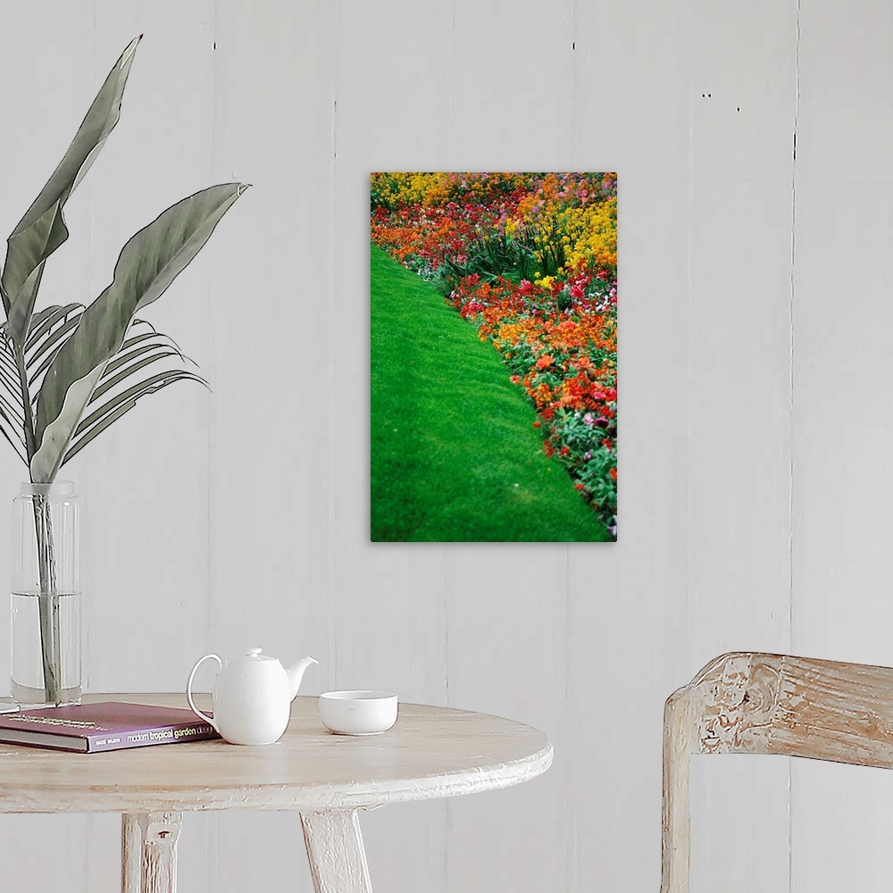 A farmhouse room featuring Colorful Flowers And Grass In Paris, Close-Up