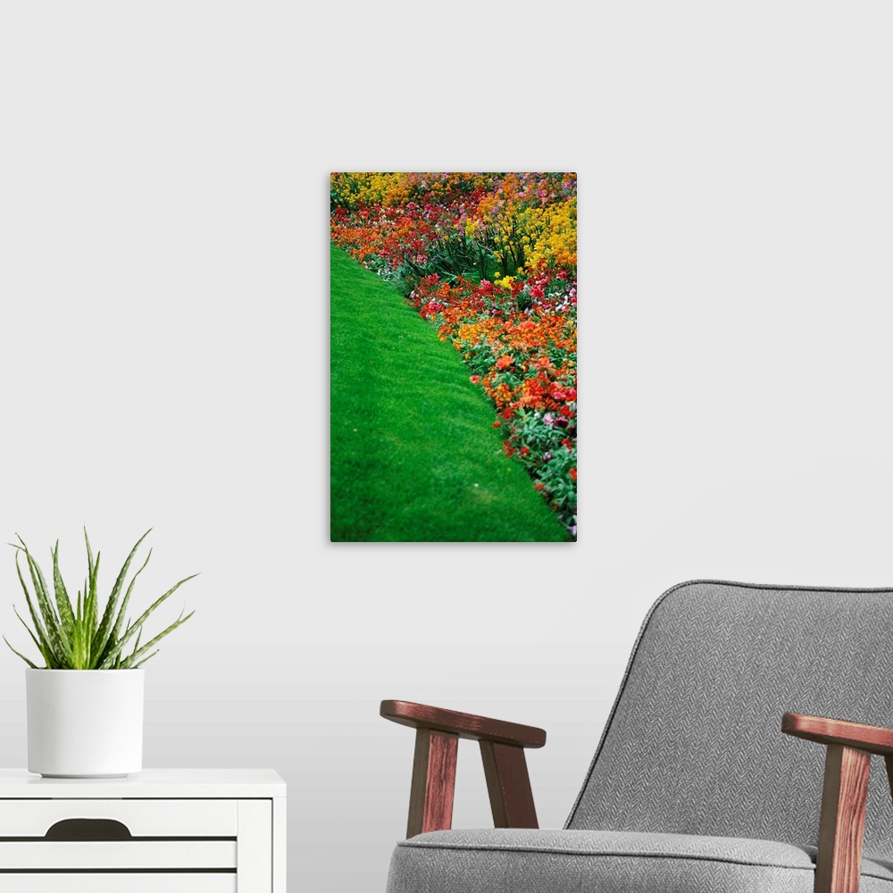 A modern room featuring Colorful Flowers And Grass In Paris, Close-Up