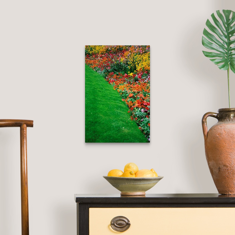 A traditional room featuring Colorful Flowers And Grass In Paris, Close-Up
