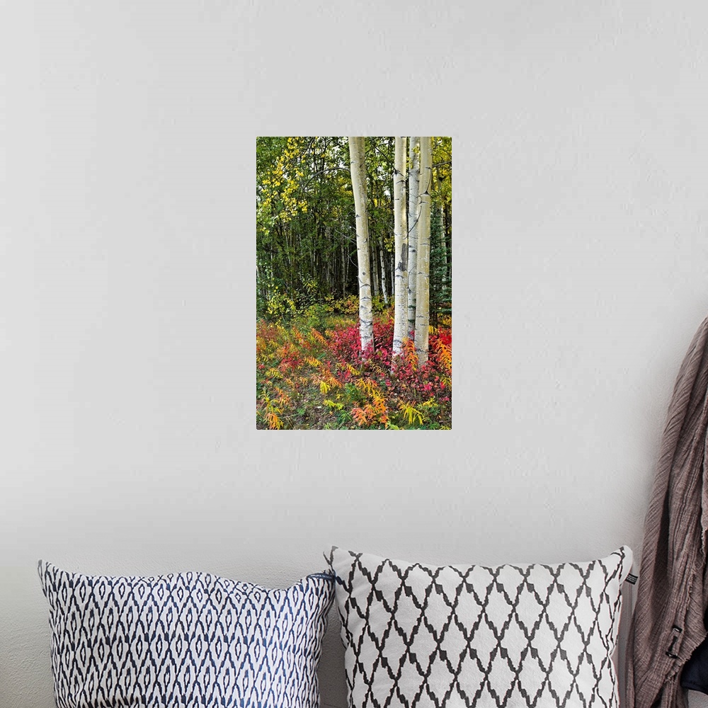 A bohemian room featuring This vertical wall art shows a cluster of a trees growing in a forest surrounded by rainbow color...