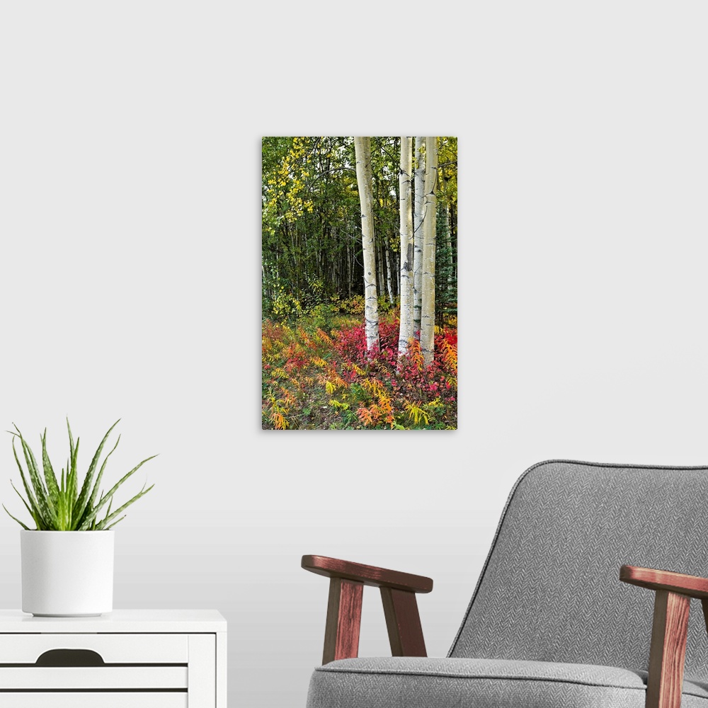 A modern room featuring This vertical wall art shows a cluster of a trees growing in a forest surrounded by rainbow color...