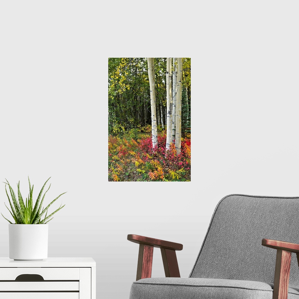 A modern room featuring This vertical wall art shows a cluster of a trees growing in a forest surrounded by rainbow color...