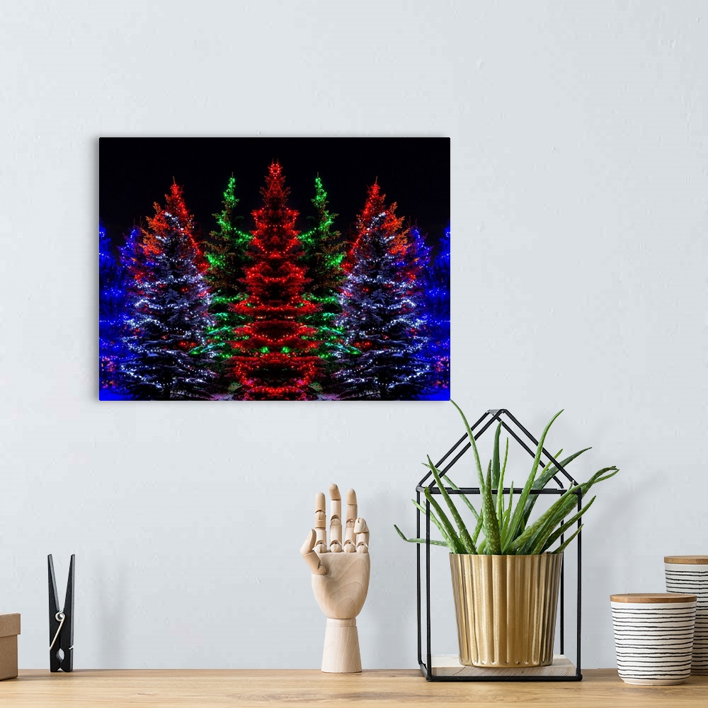 A bohemian room featuring Colourful Christmas lights around several evergreen trees; Calgary, Alberta, Canada