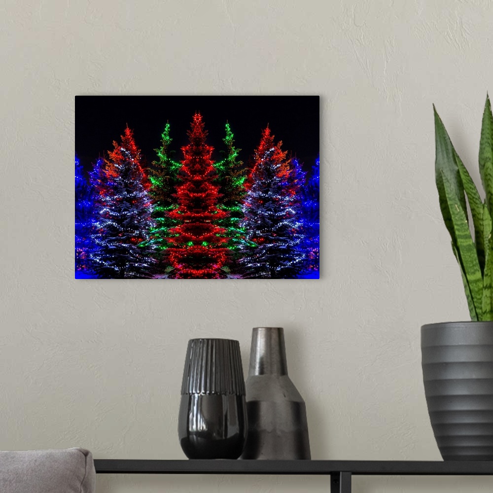 A modern room featuring Colourful Christmas lights around several evergreen trees; Calgary, Alberta, Canada