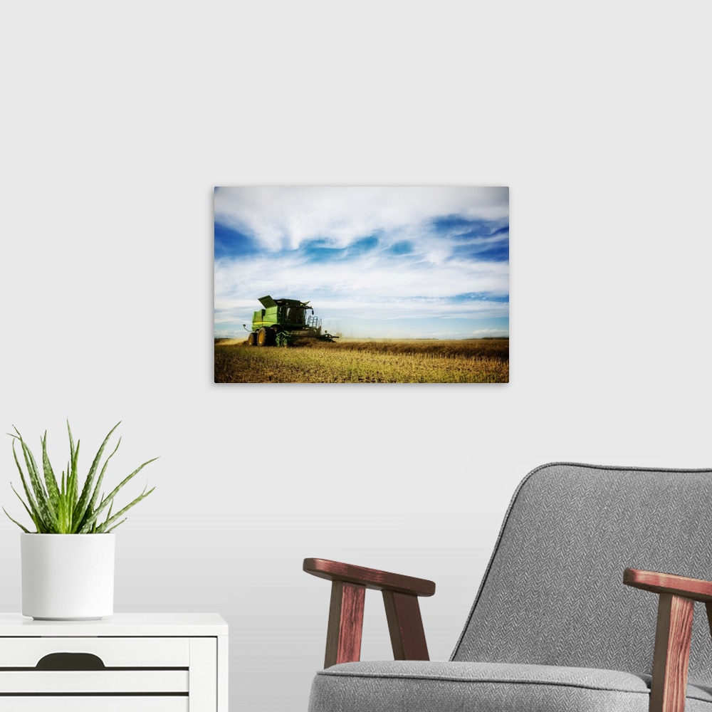 A modern room featuring Side view of a farmer driving a combine during a canola harvest; Legal, Alberta, Canada