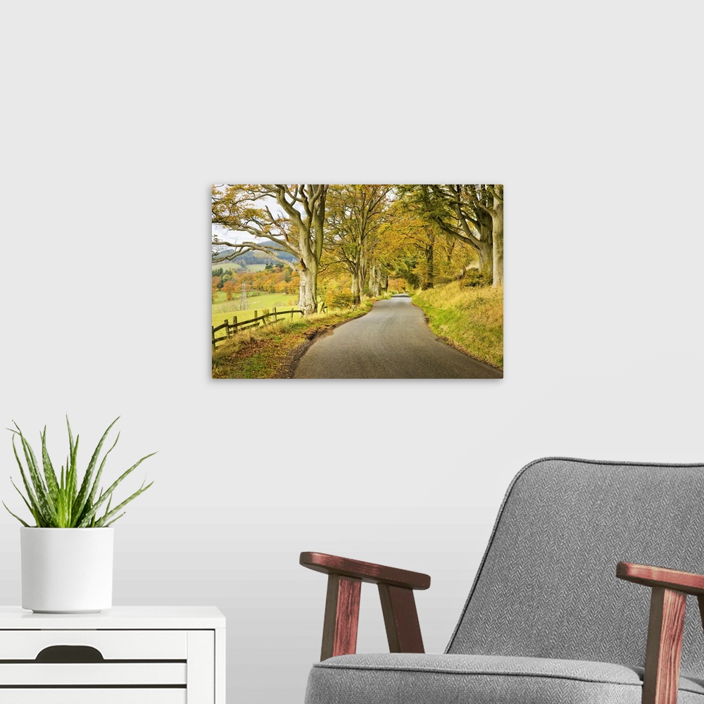 A modern room featuring Country Road in Autumn, Scottish Borders, Scotland