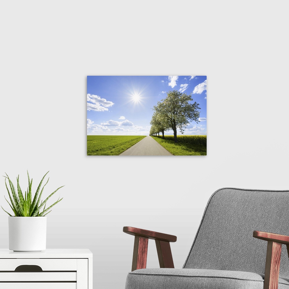 A modern room featuring Country Road with Row of Pear Trees and Sun in Spring, Spielbach, Baden-Wurttemberg, Germany