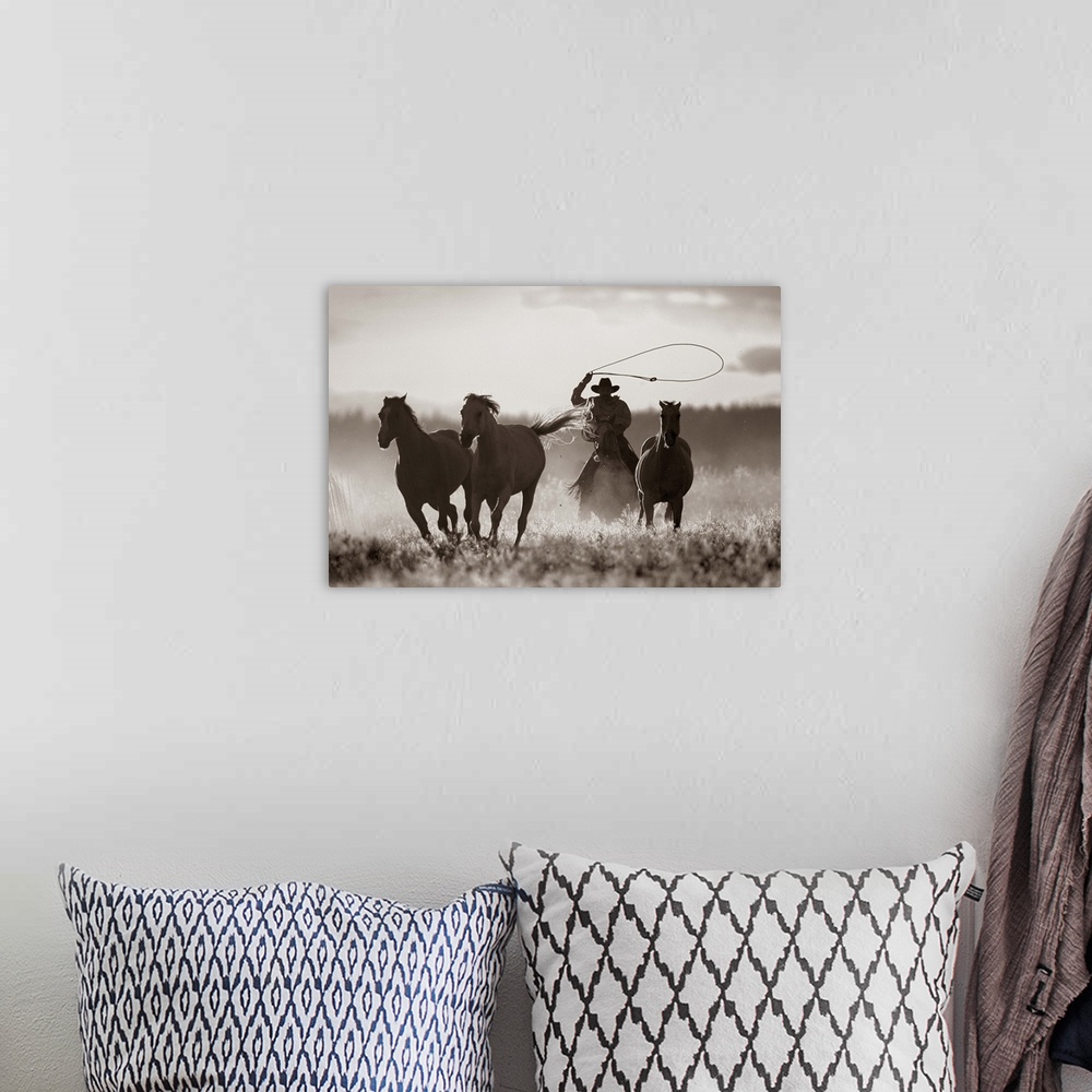 A bohemian room featuring Cowboy Lassoing Horses, Senaca, Oregon, USA