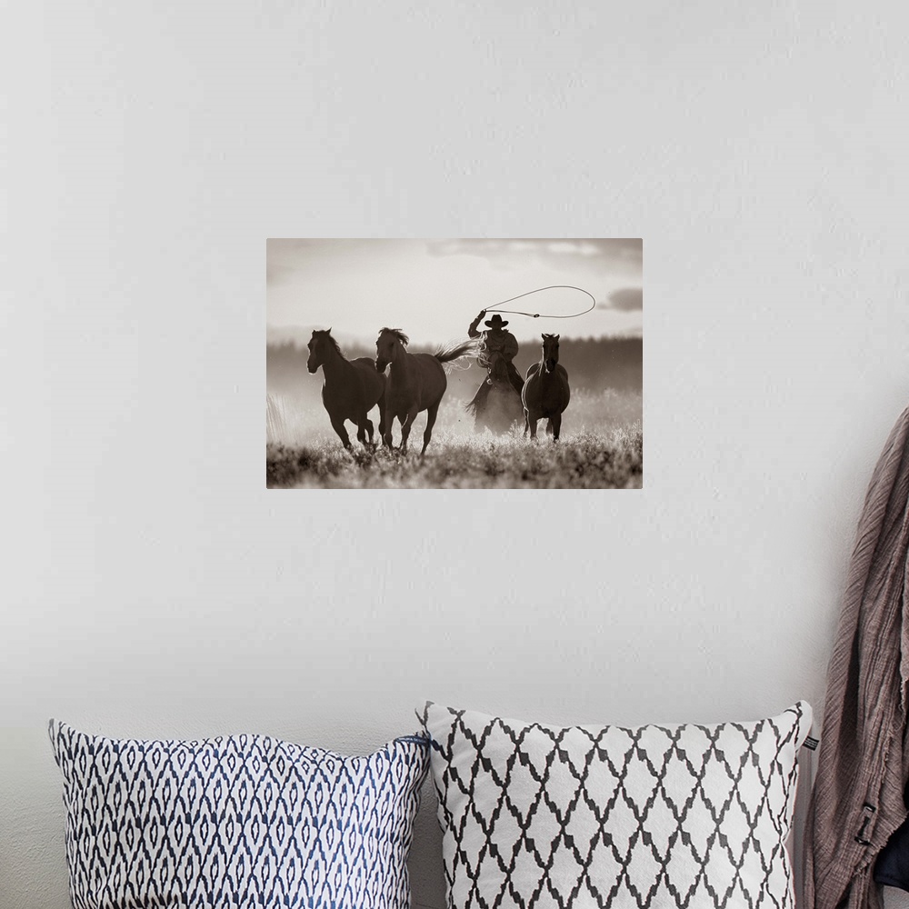 A bohemian room featuring Cowboy Lassoing Horses, Senaca, Oregon, USA