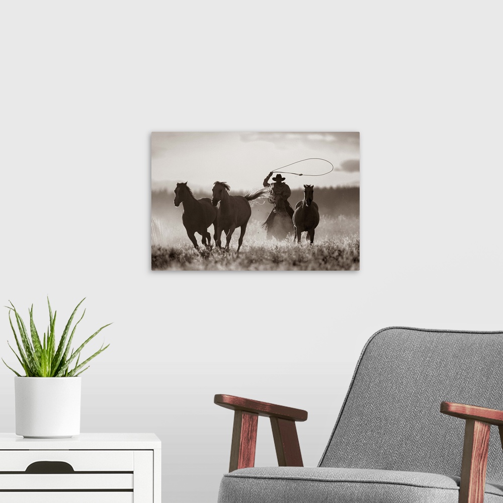 A modern room featuring Cowboy Lassoing Horses, Senaca, Oregon, USA