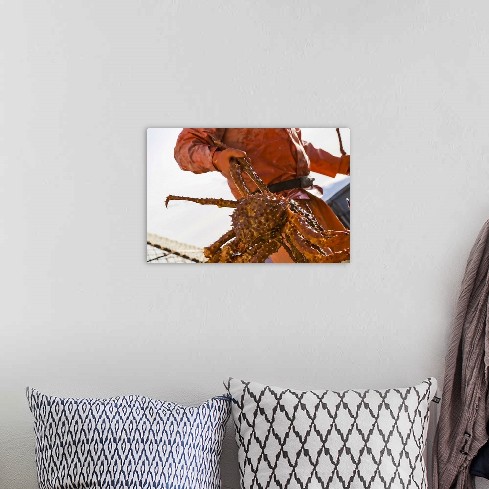 A bohemian room featuring Crab Fisherman Carries A Brown Crab To The Hold Of The F/V Morgan Anne During The Commercial Brow...