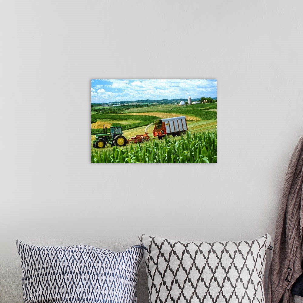 A bohemian room featuring Cutting and windrowing alfalfa next to corn, contour strip farming, Wisconsin