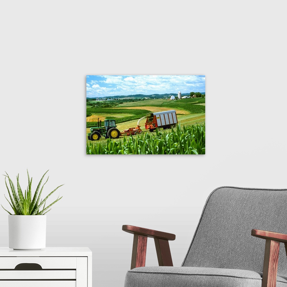 A modern room featuring Cutting and windrowing alfalfa next to corn, contour strip farming, Wisconsin