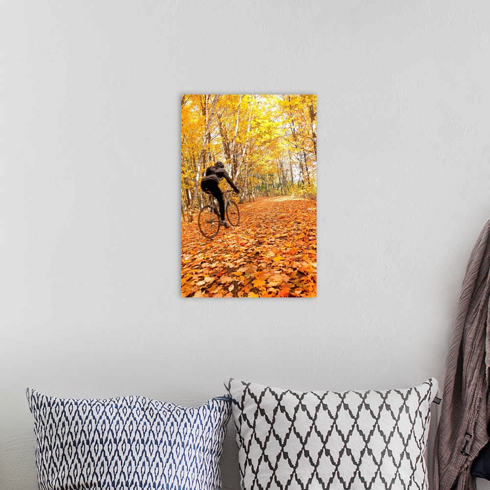 A bohemian room featuring Cyclist Riding In Autumn On Humber Trail, Toronto, Canada
