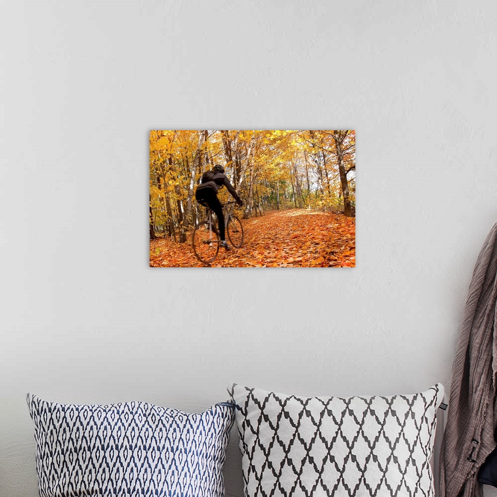 A bohemian room featuring Cyclist Riding In Autumn On Humber Trail, Toronto, Canada