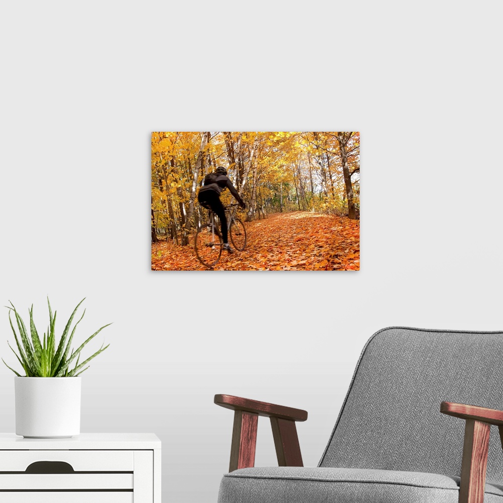 A modern room featuring Cyclist Riding In Autumn On Humber Trail, Toronto, Canada