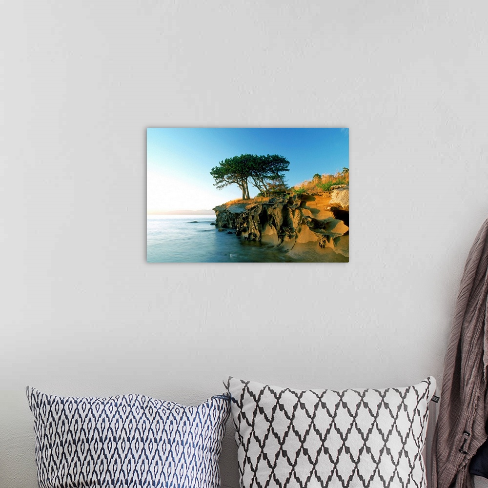 A bohemian room featuring Cypress Trees On Sandstone Islet, British Columbia, Canada