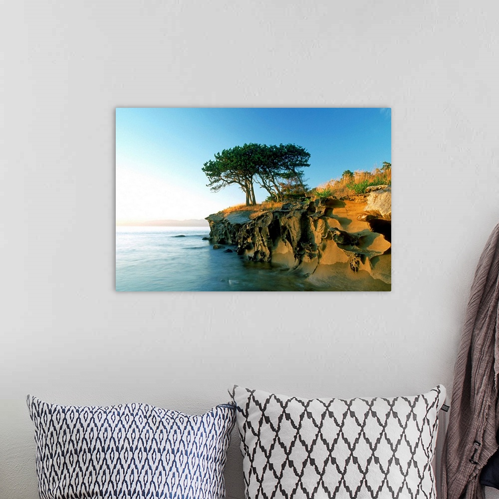 A bohemian room featuring Cypress Trees On Sandstone Islet, British Columbia, Canada