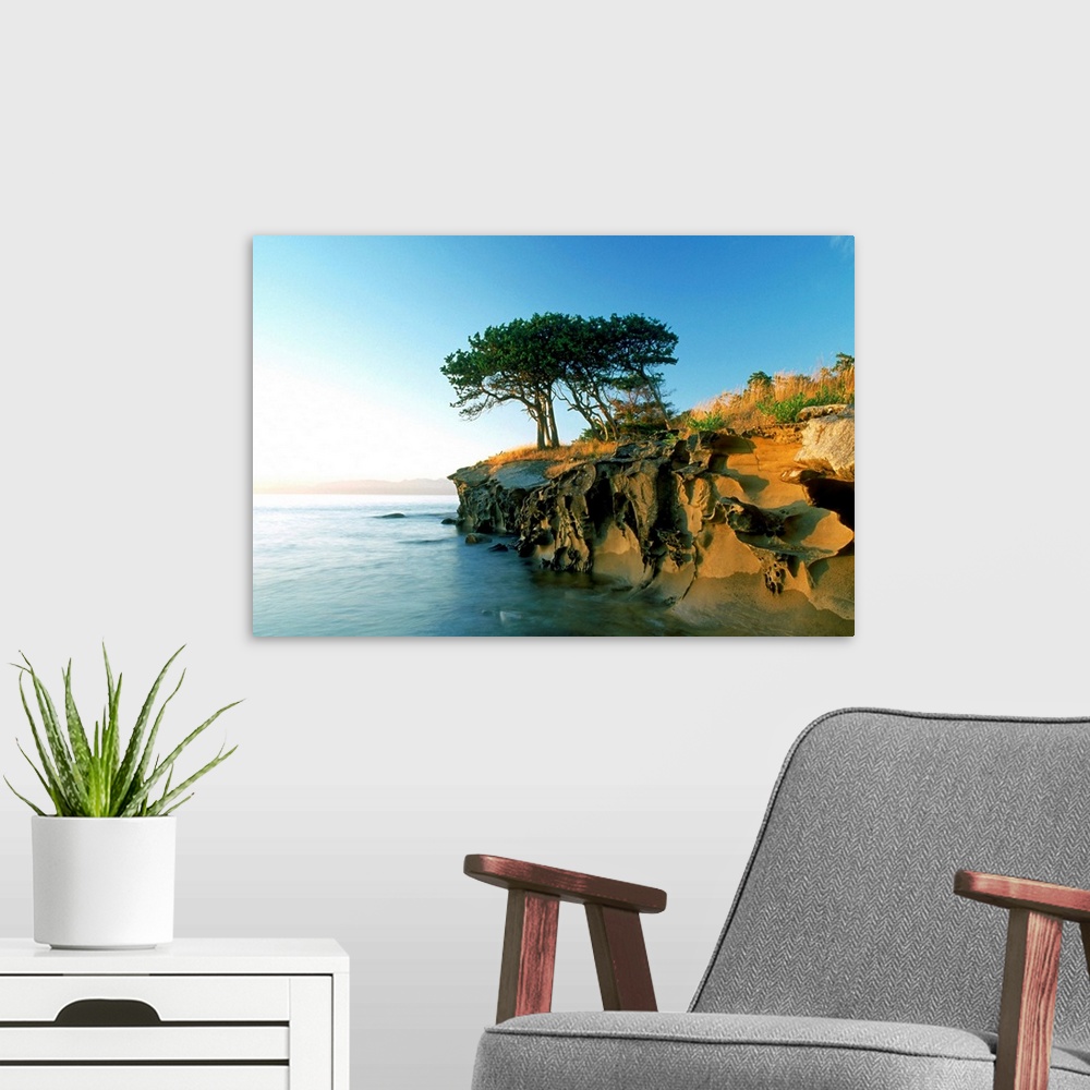 A modern room featuring Cypress Trees On Sandstone Islet, British Columbia, Canada