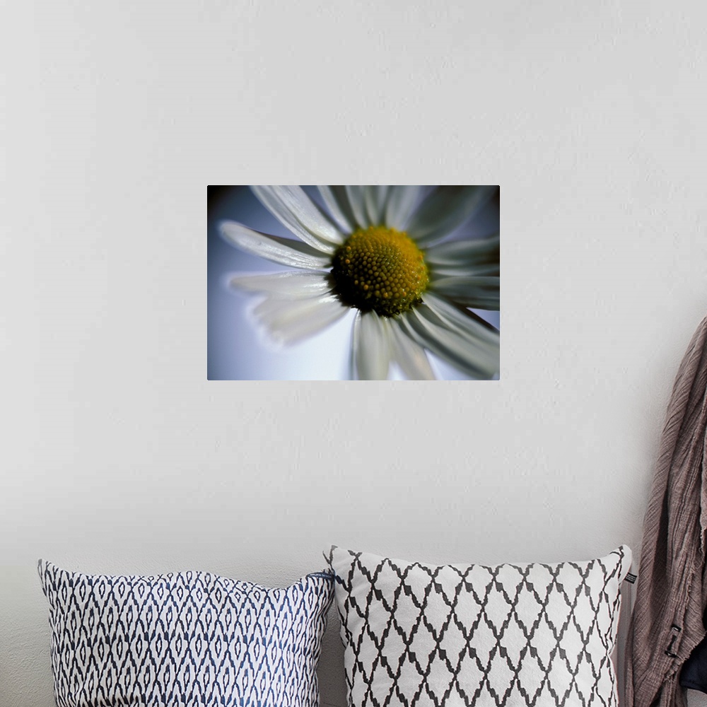 A bohemian room featuring Large wall docor of the up close view of a daisy.