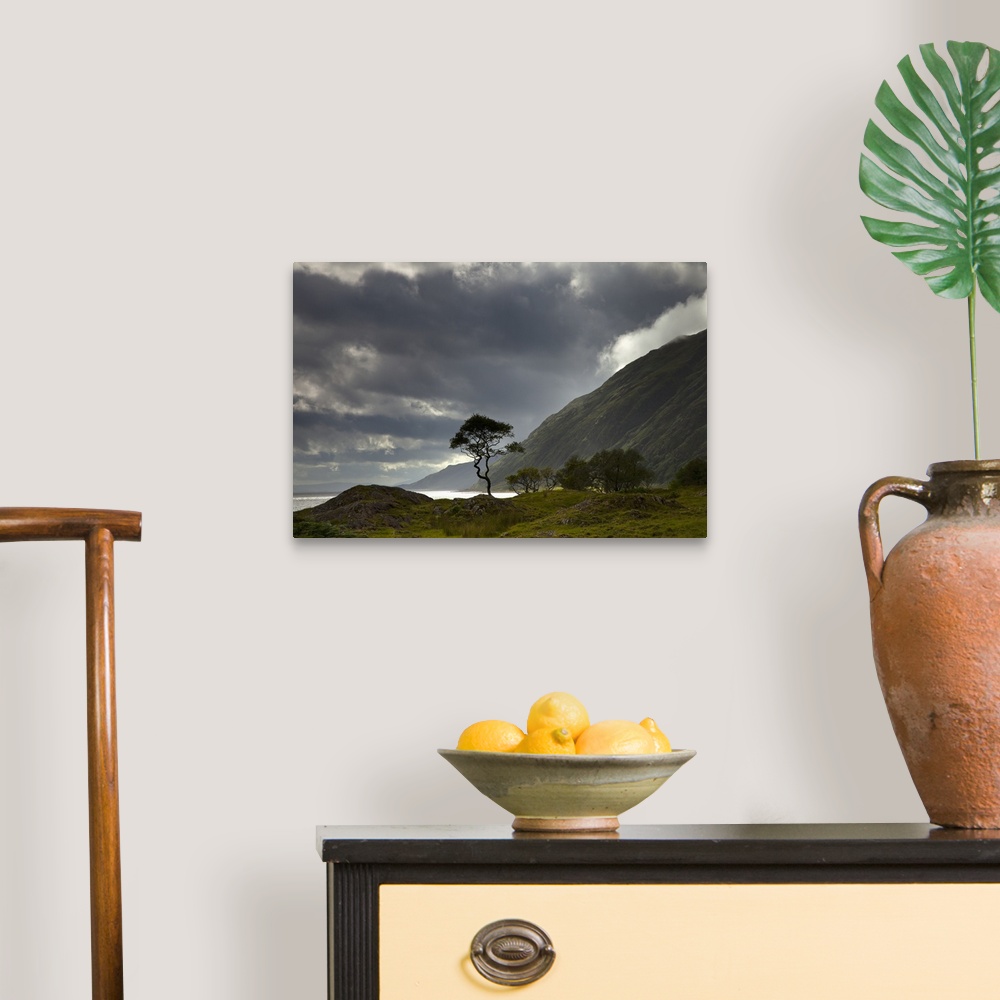 A traditional room featuring Dark Clouds Over A Landscape Along The Coast; Ardnamurchan, Argyll, Scotland