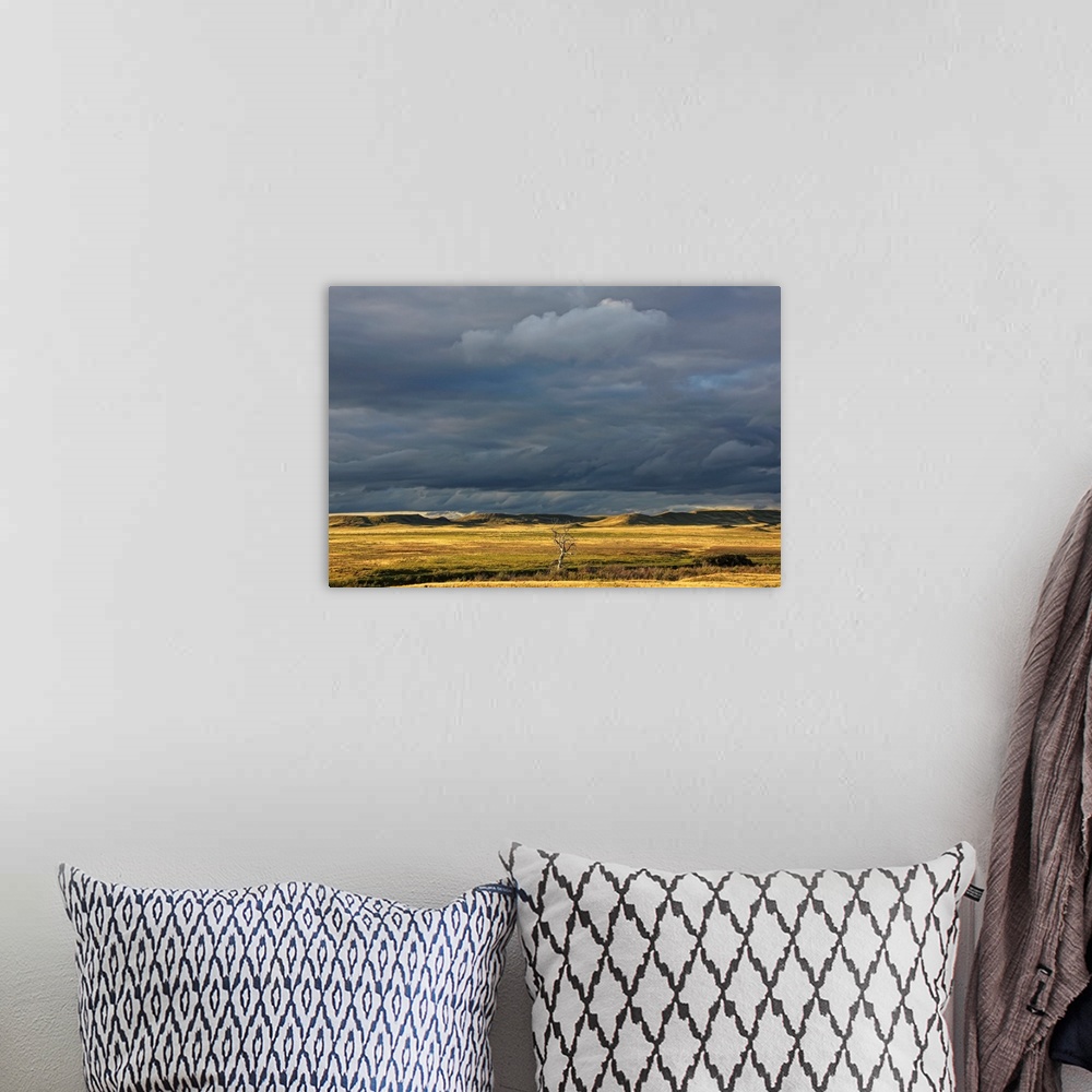 A bohemian room featuring Dead Tree At Dusk With Storm Clouds Overhead, Saskatchewan, Canada