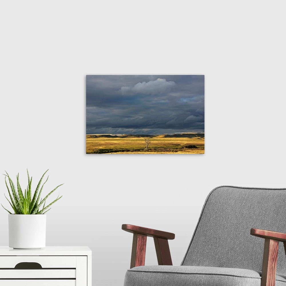 A modern room featuring Dead Tree At Dusk With Storm Clouds Overhead, Saskatchewan, Canada