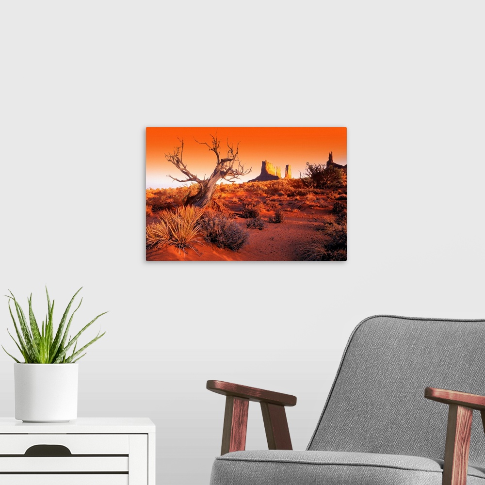A modern room featuring A lifeless tree stands alone in the desert that is covered with dry brush and a view of Monument ...