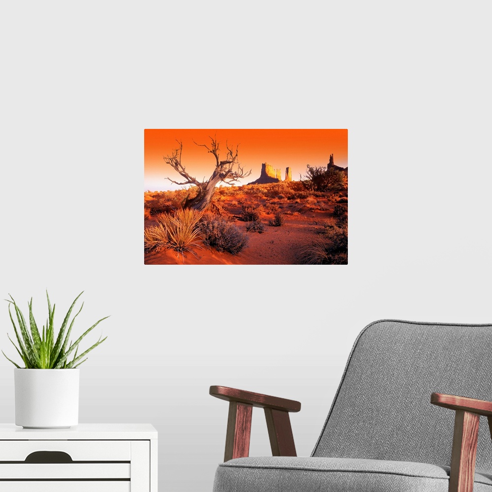A modern room featuring A lifeless tree stands alone in the desert that is covered with dry brush and a view of Monument ...