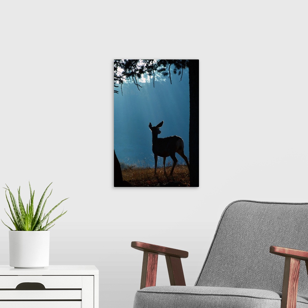 A modern room featuring Deer In A Forest