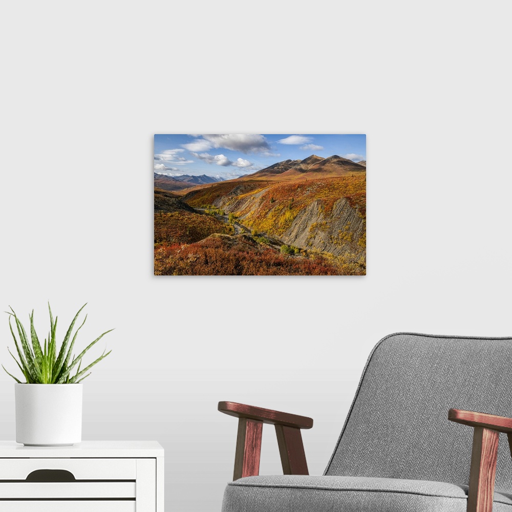 A modern room featuring The autumn colours ignite the landscape in colour along the Dempster Highway, Yukon. An amazing, ...