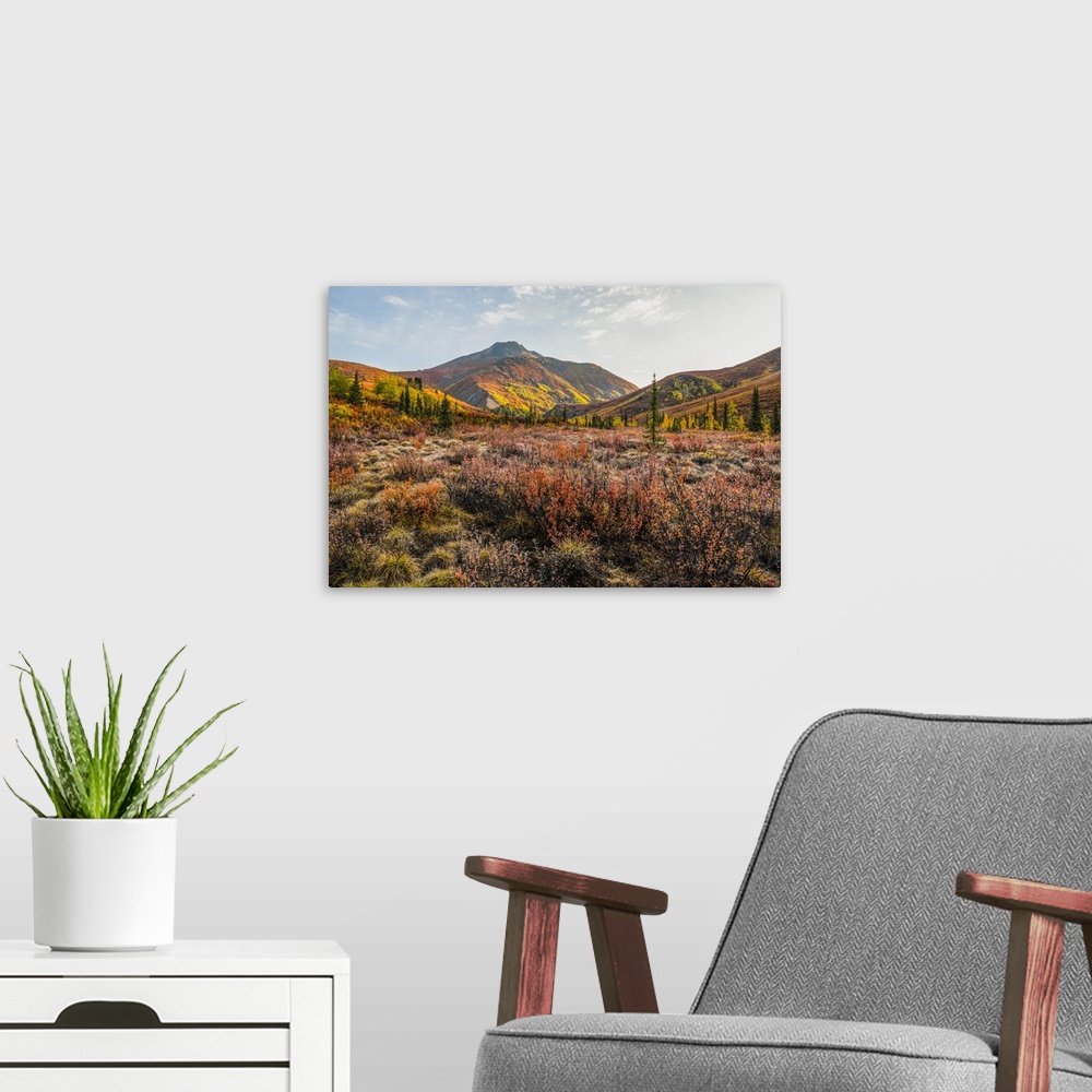 A modern room featuring The autumn colours ignite the landscape in colour along the Dempster Highway, Yukon. An amazing, ...