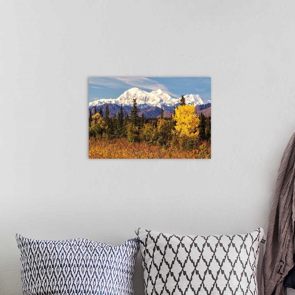 A bohemian room featuring Denali, viewed from south of Cantwell, from the Parks Highway in Interior Alaska, Alaska, United ...