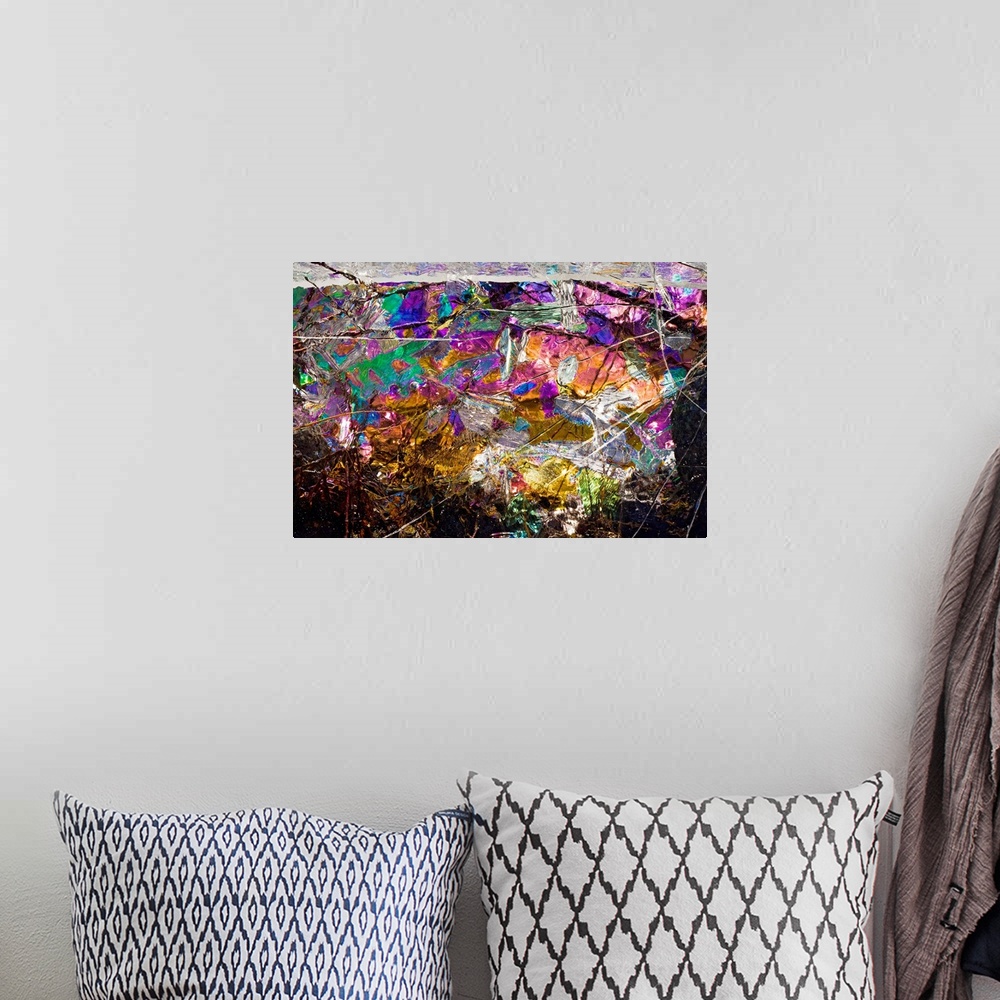 A bohemian room featuring This is a close up of rainbow colors in nature in this horizontal, photographic wall art.