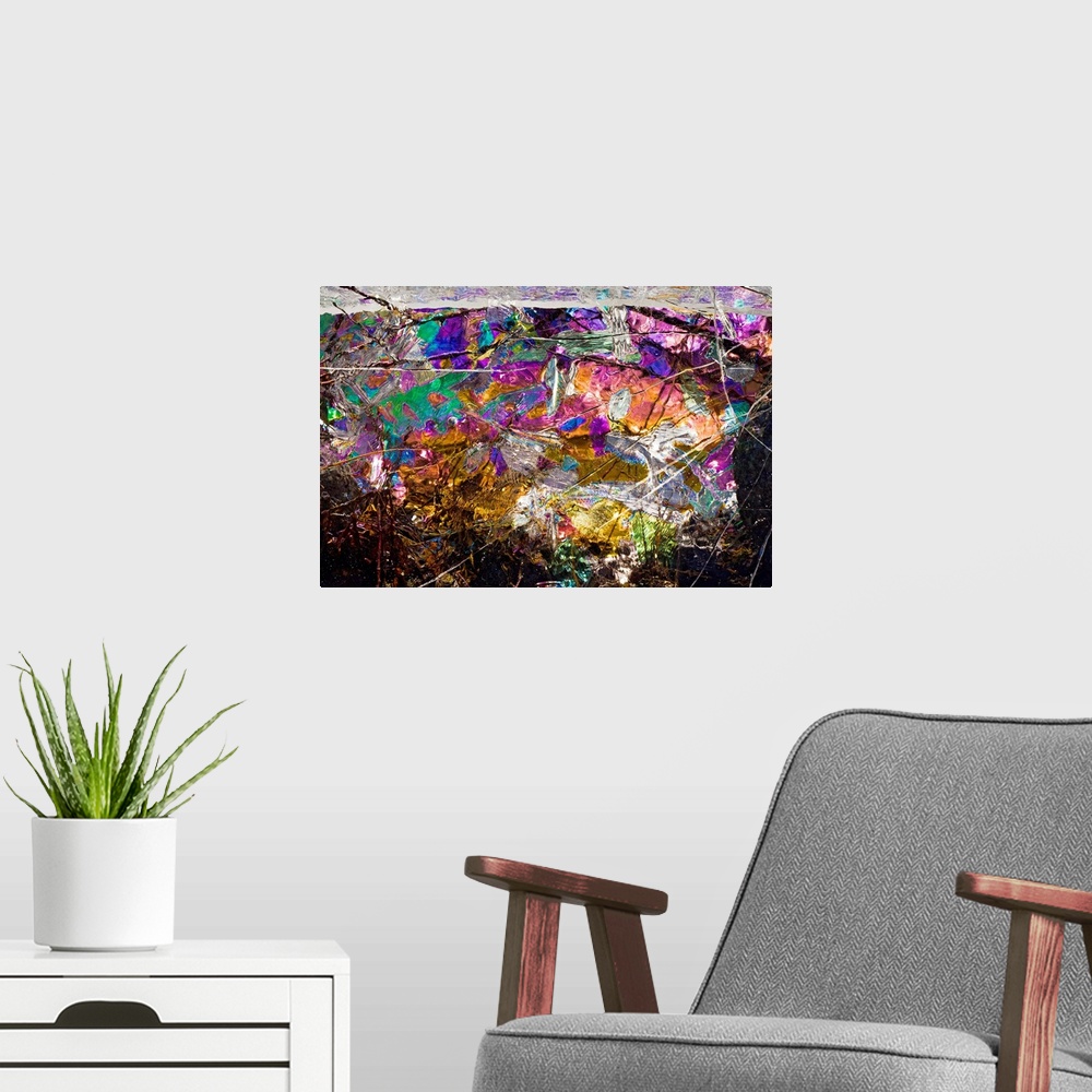 A modern room featuring This is a close up of rainbow colors in nature in this horizontal, photographic wall art.