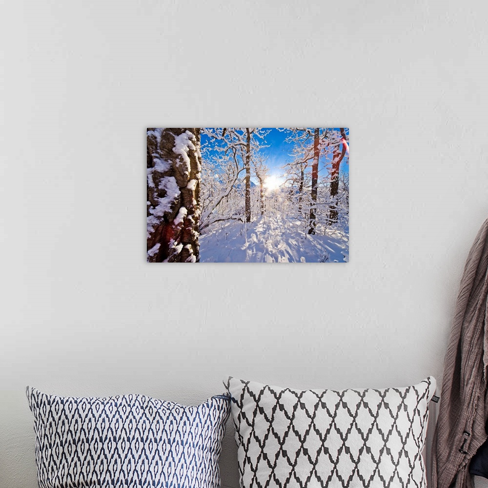 A bohemian room featuring Giant landscape photograph of a snow covered forest of cottonwood trees, the sun shining brightly...