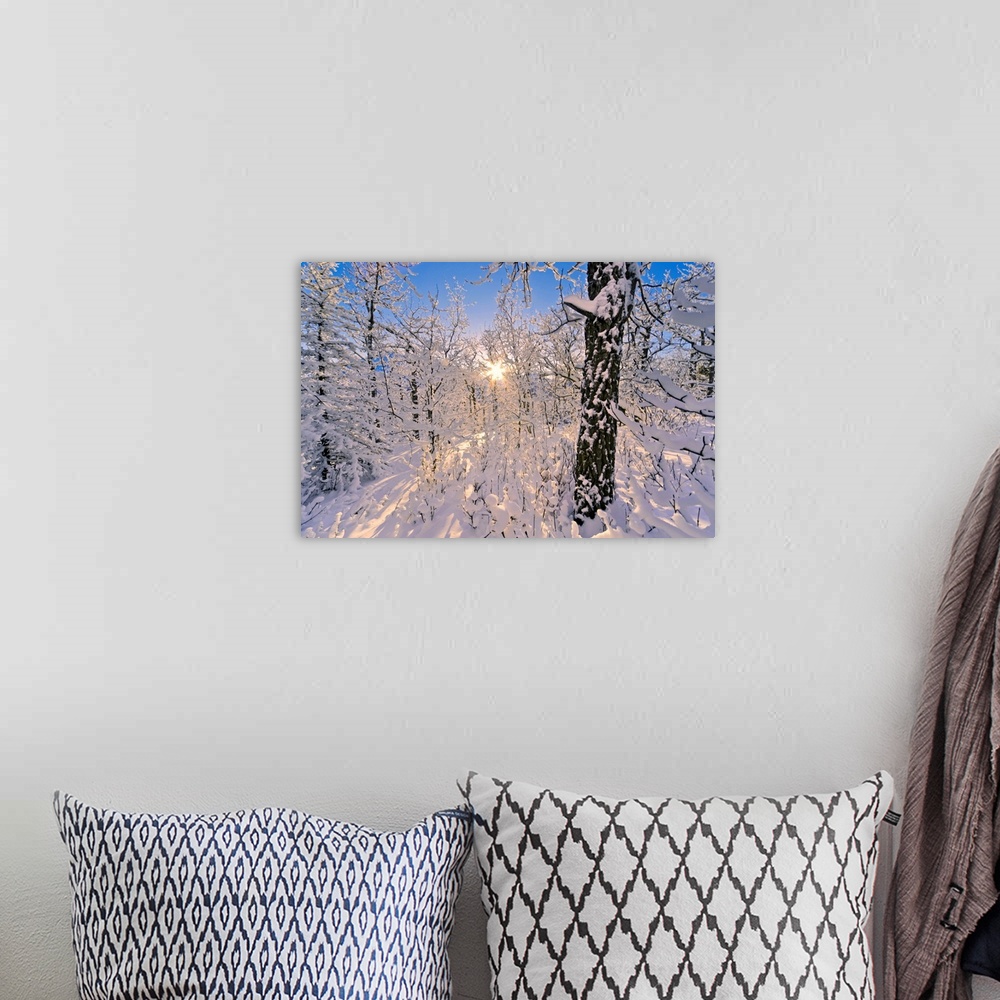 A bohemian room featuring Photograph of  snowy forest with sun peaking through branches.