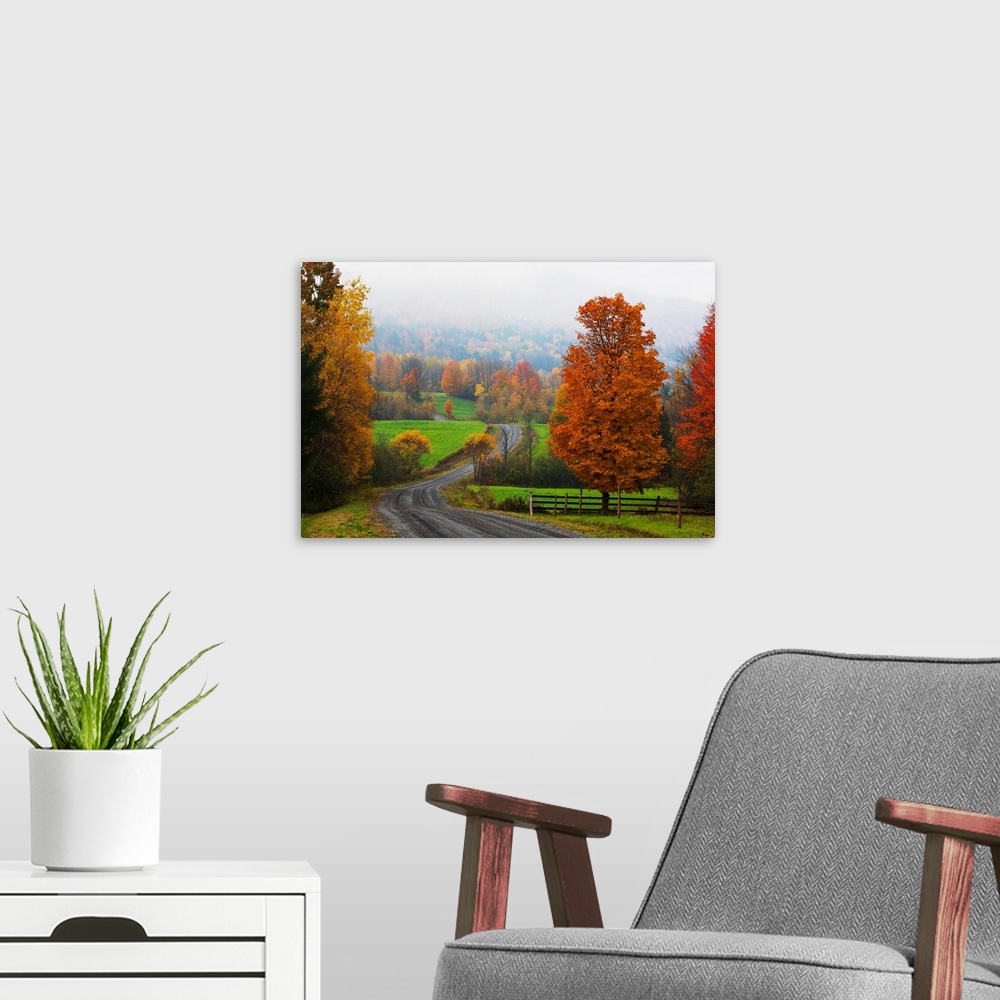 A modern room featuring Dirt Road In Autumn With Early Morning Fog, Iron Hill, Quebec, Canada