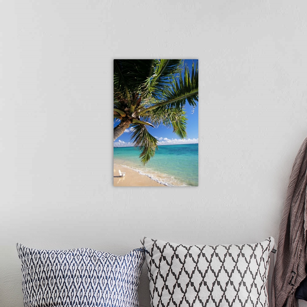 A bohemian room featuring Distant View Of White Beach Chair In Shoreline Waters With Palm Tree
