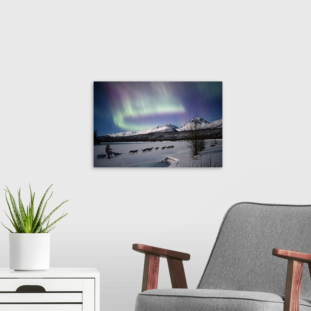 A modern room featuring The Northern Lights brighten the night sky as a dog team walks up a snowy hill.