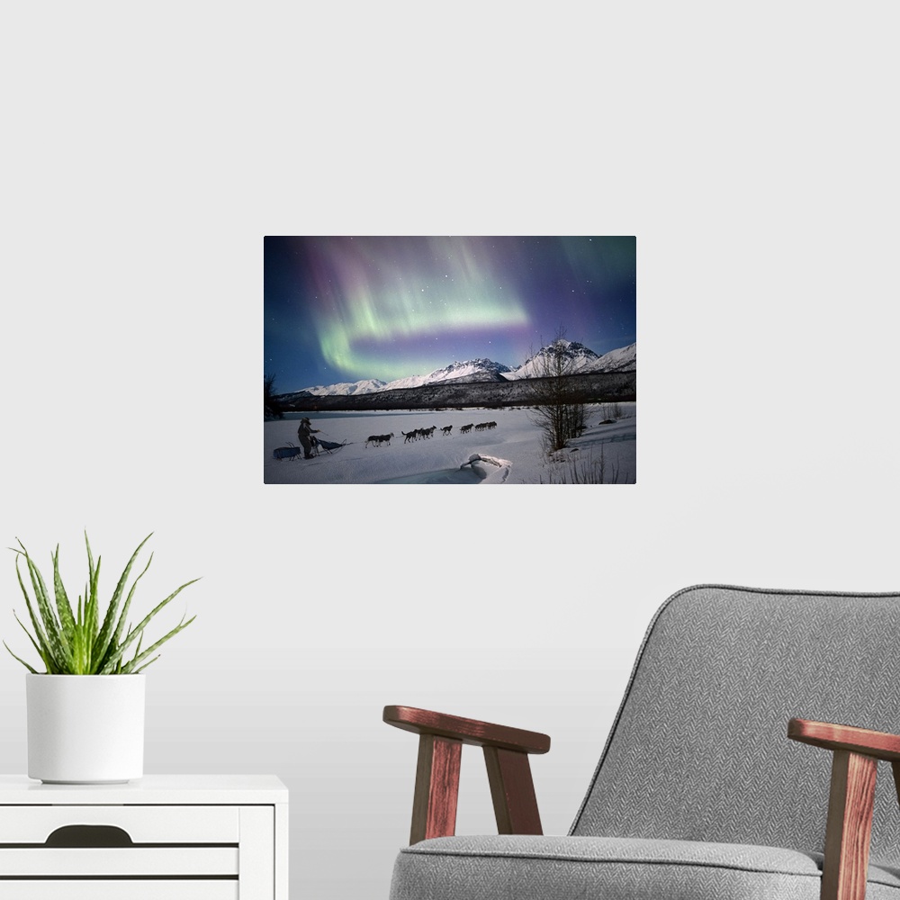 A modern room featuring The Northern Lights brighten the night sky as a dog team walks up a snowy hill.