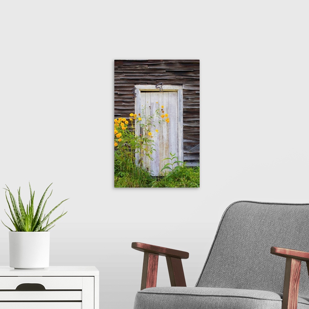 A modern room featuring Door To An Old Shed With Wildflowers Growing Outside; Iron Hill, Quebec, Canada