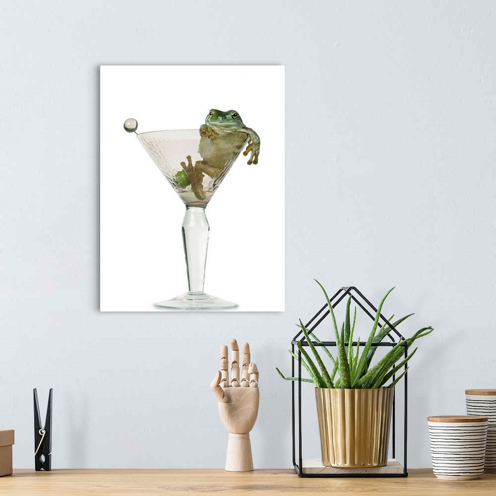 A bohemian room featuring Drunken Frog In Empty Martini Glass