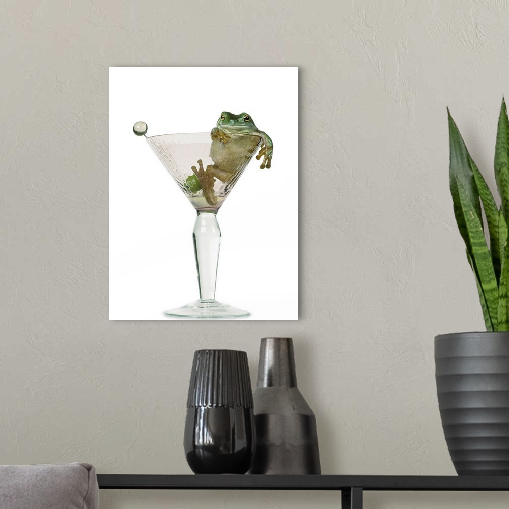 A modern room featuring Drunken Frog In Empty Martini Glass