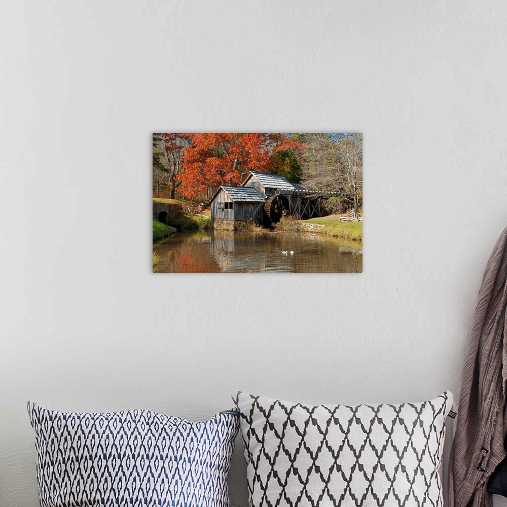 A bohemian room featuring Ducks swimming in a pond at an old grist mill in an autumn landscape.