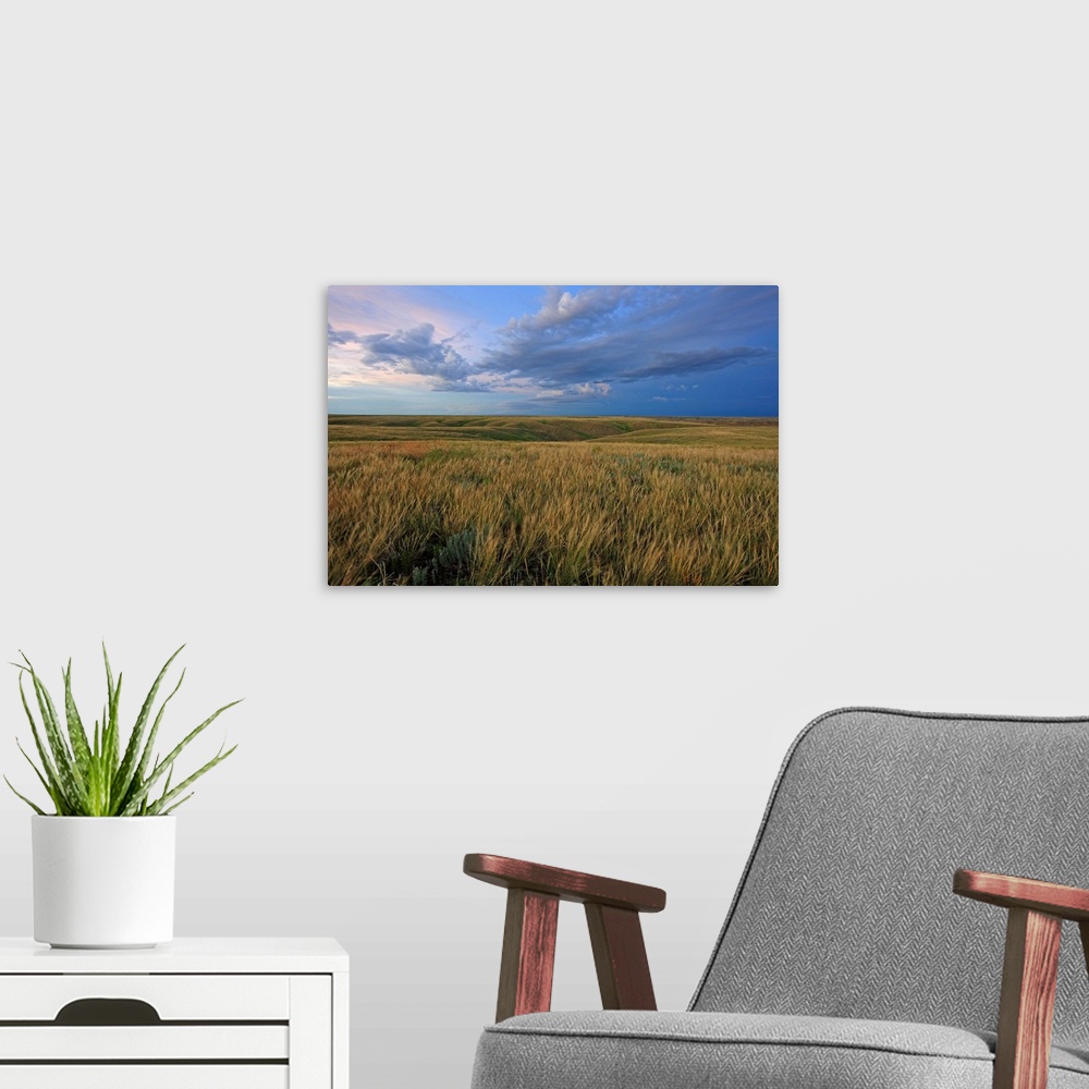 A modern room featuring Dusk At Grasslands National Park, Saskatchewan, Canada