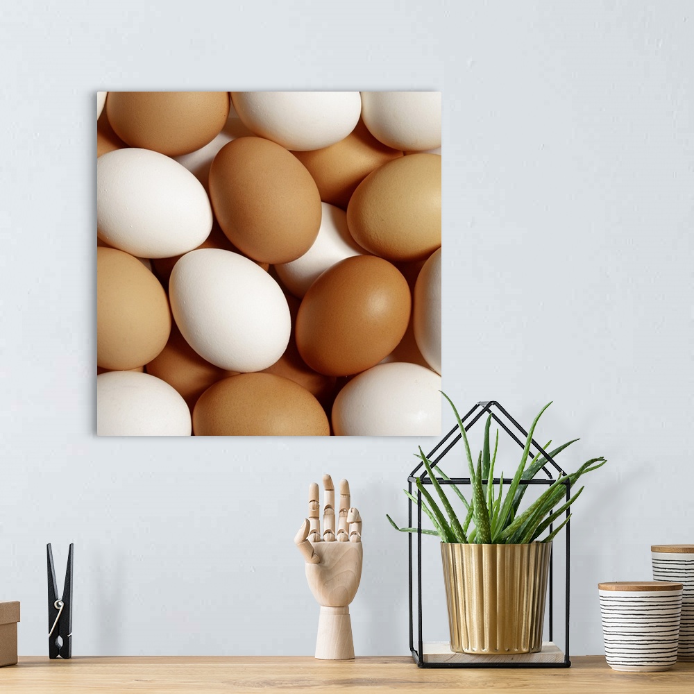 A bohemian room featuring Eggs