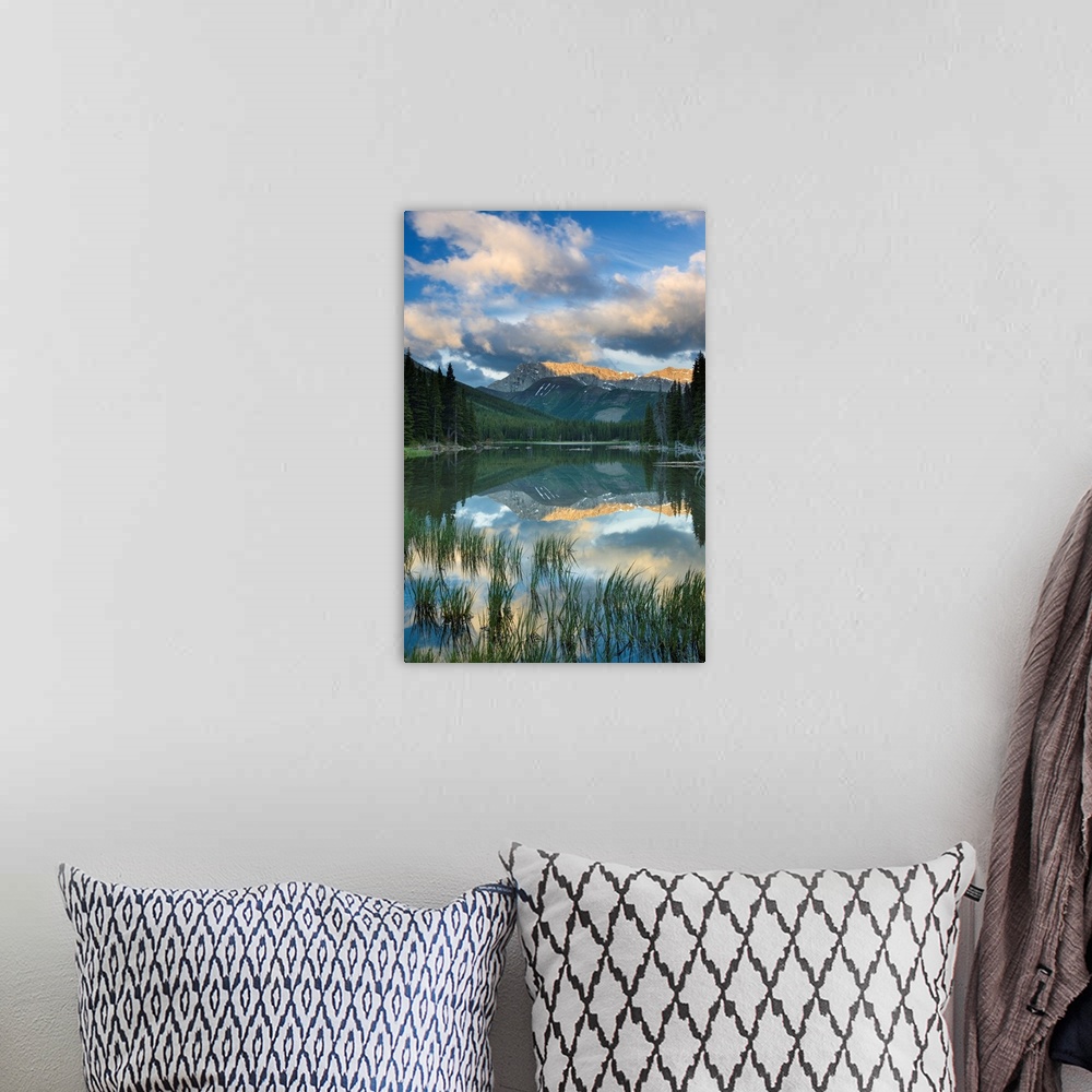 A bohemian room featuring Elbow Lake, Kananaskis Country, Alberta, Canada